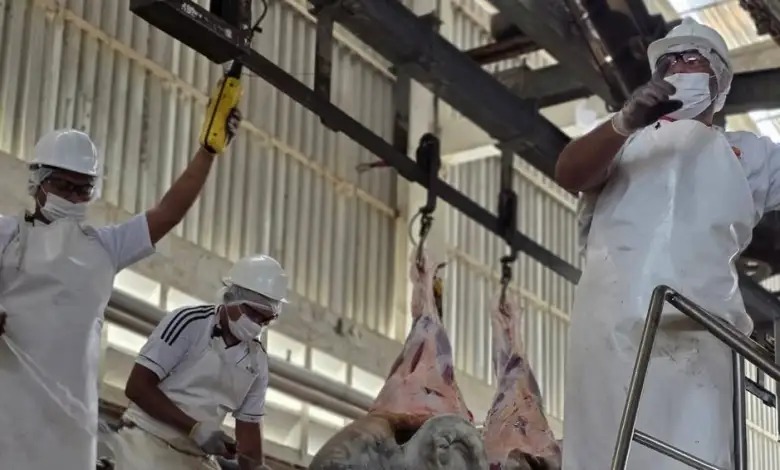 Sector agroalimentario de carne consolida la producción comunal venezolana